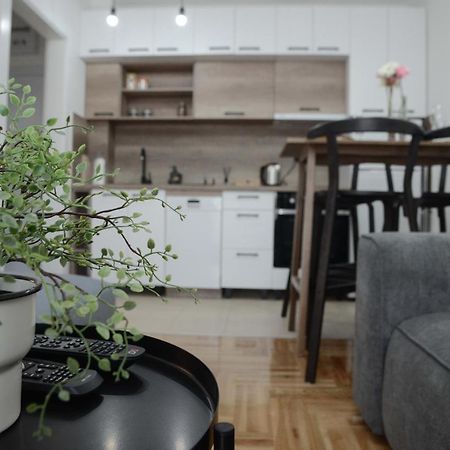 Apartment Dobraya Grey โนวีซาด ภายนอก รูปภาพ