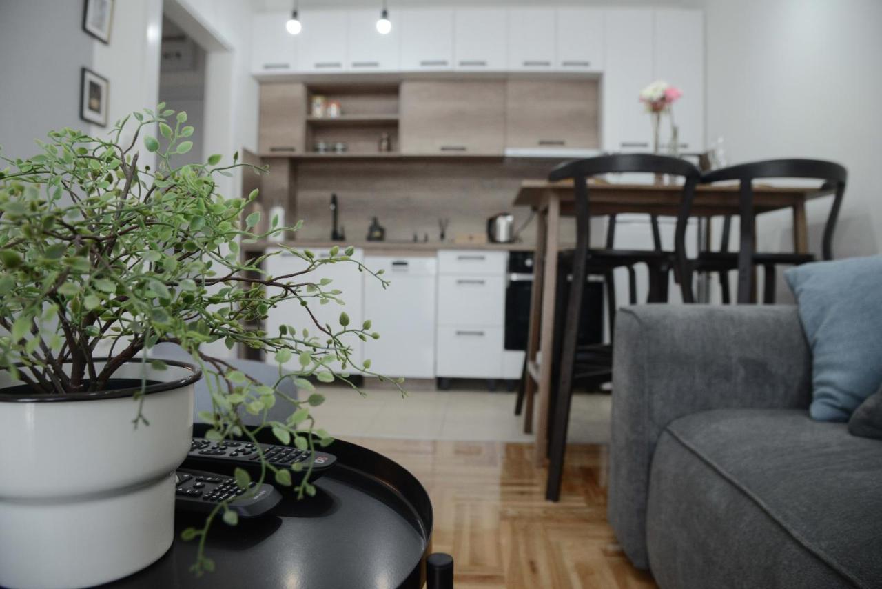 Apartment Dobraya Grey โนวีซาด ภายนอก รูปภาพ