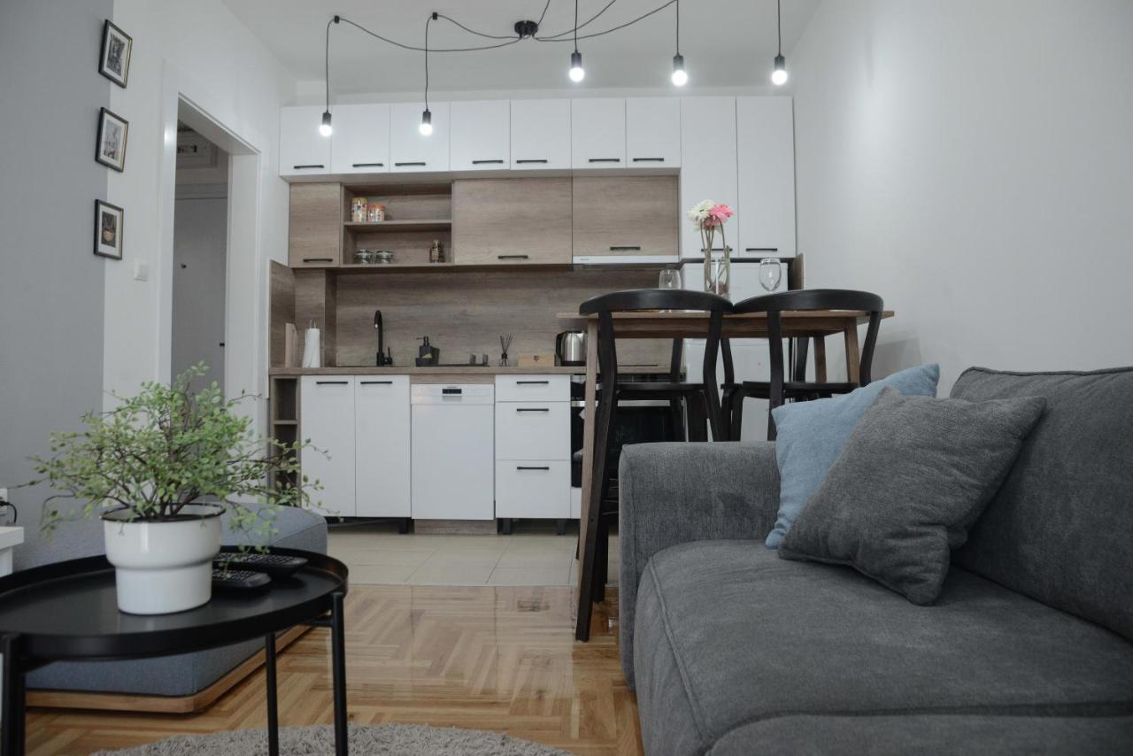 Apartment Dobraya Grey โนวีซาด ภายนอก รูปภาพ